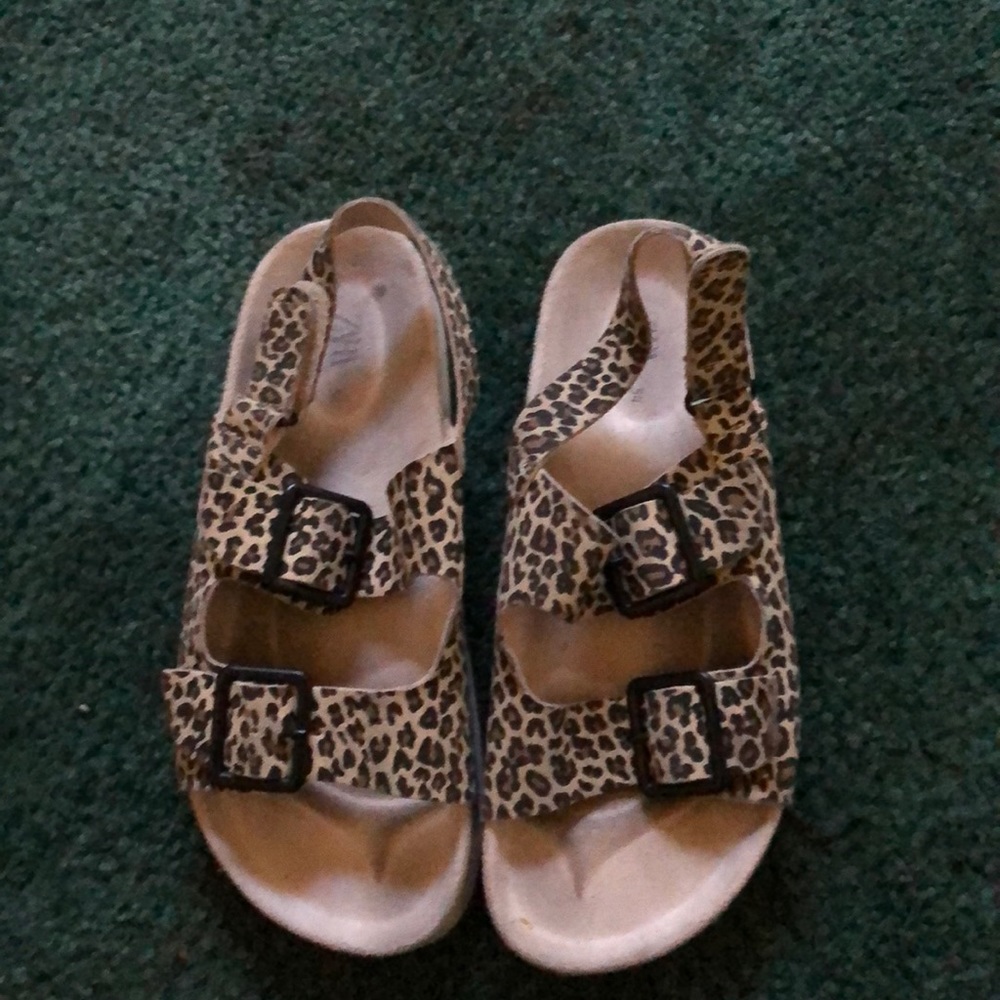 Kids cheetah slides